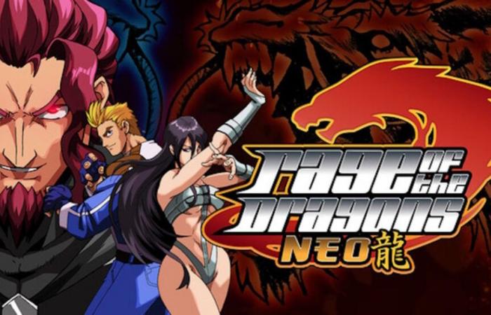 Test – Rage of the dragons NEO : l’art du tag-team fighting