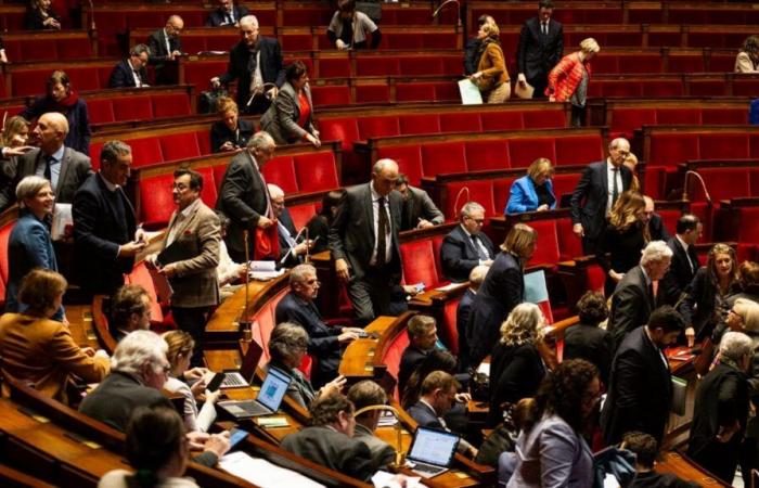 MPs approve in committee a bill from La France insoumise