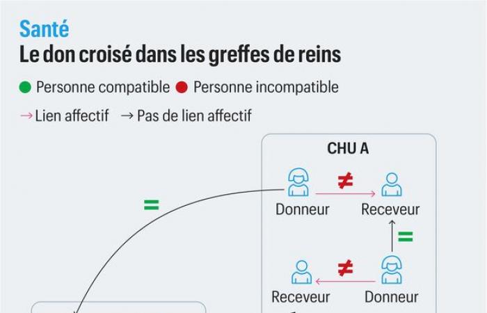 The Bordeaux University Hospital carried out the first triple cross kidney transplant in France