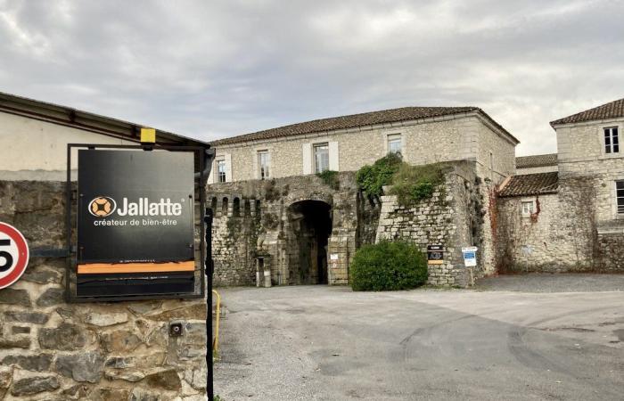 FACT OF THE DAY In Saint-Hippolyte-du-Fort, Jallatte invents the carbon-neutral safety shoe