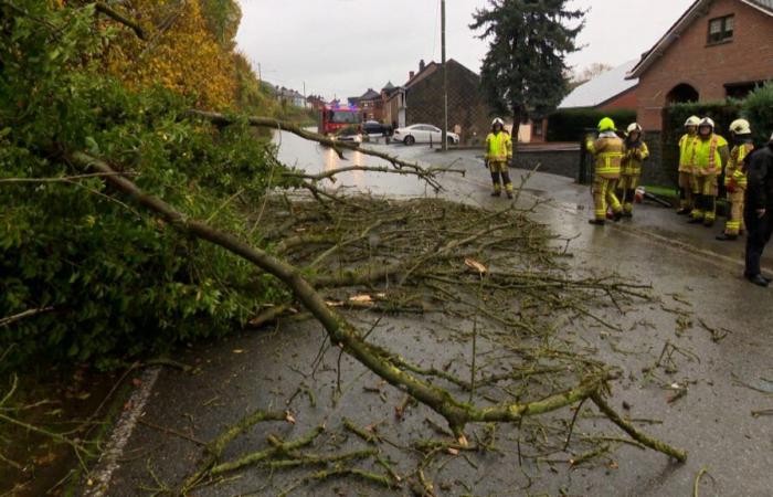 Flooded roads and streets, blocked drains: bad weather causes around a hundred interventions in Wallonia and Brussels