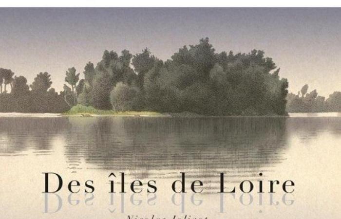 Mauges-sur-Loire. A book travels to the Loire Islands at ParChemins. Sport