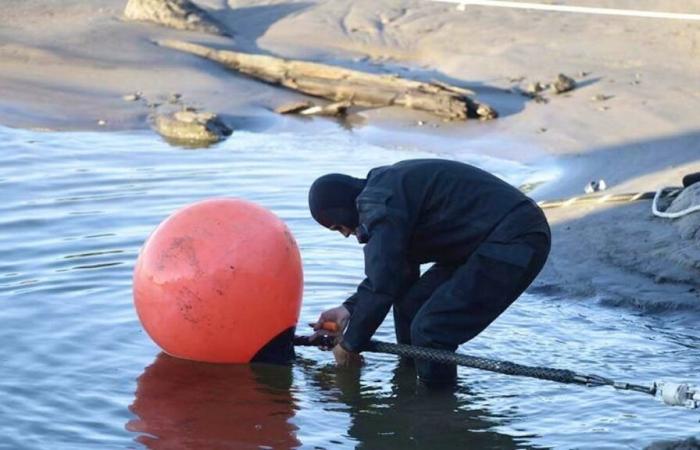 Cables damaged in the Baltic Sea: the Kremlin considers it “laughable” to accuse Russia