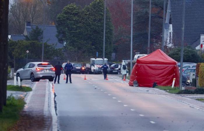 Drunk driver commits hit and run after fatal collision: cyclist (56) from Kortessem died (Diepenbeek)