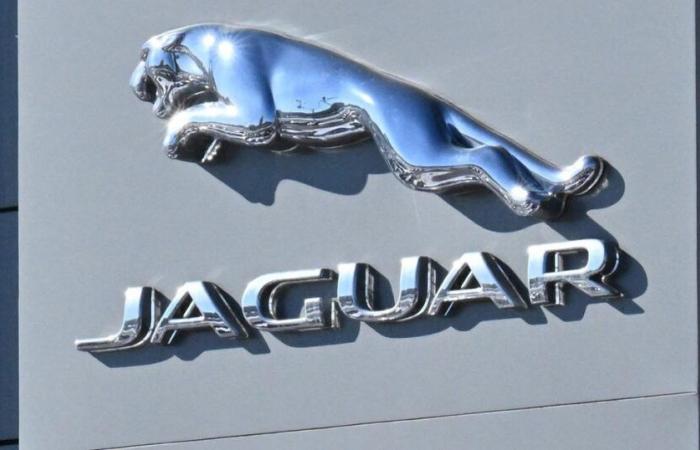 Jaguar singled out for its new “woke” image