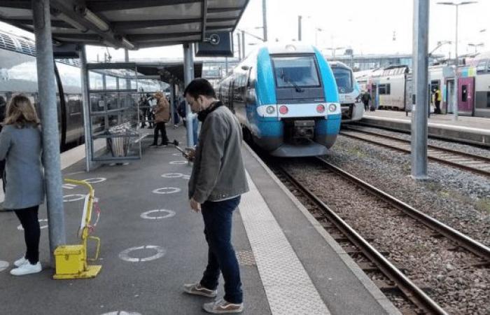 Charente-Maritime: A strike at the SNCF this Thursday against the privatization of Freight and TER