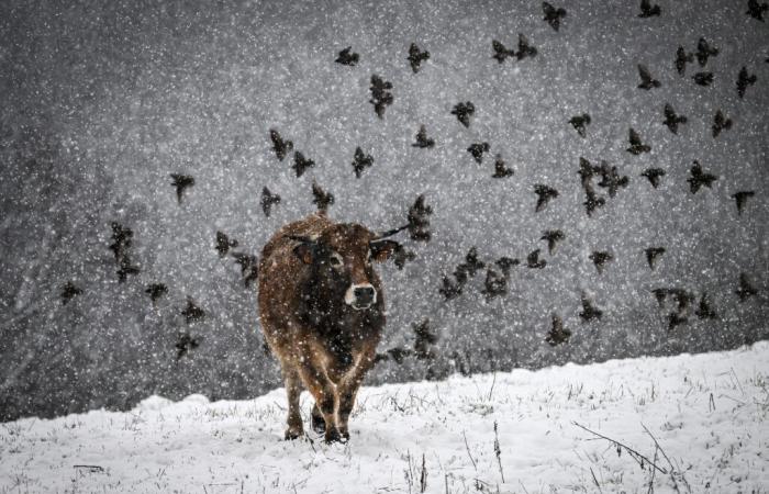 winter comes to France early in the season