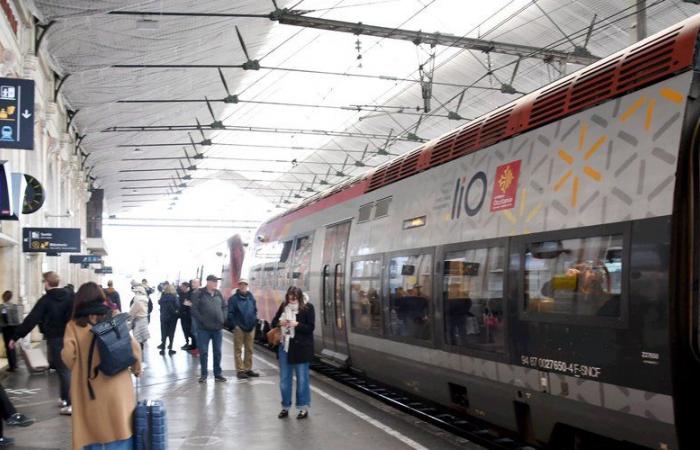 Interrupted for a while after a person was hit by a train, rail traffic between Narbonne and Perpignan has resumed