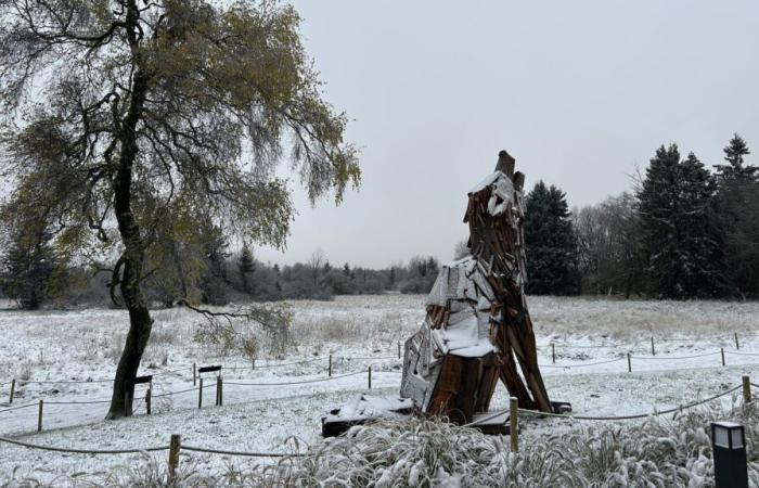 The first snowflakes have fallen in the Hautes Fagnes: walkers and the Horeca sector are smiling