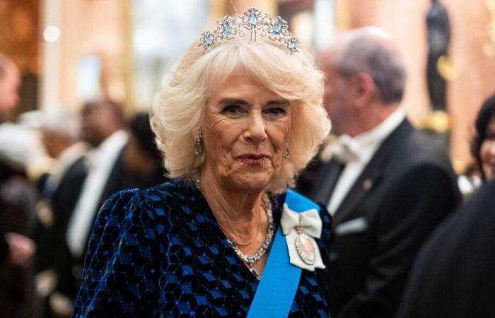 Queen Camilla, resplendent at the gala of the diplomatic corps with Charles III and Prince William