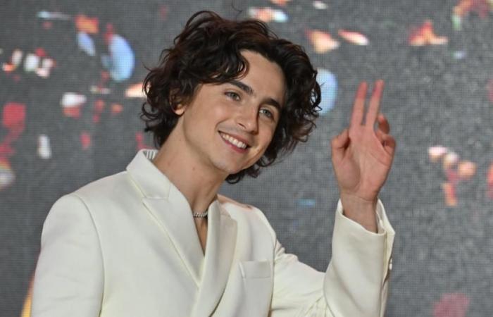 Timothée Chalamet refused to see his friends or visitors during the filming of the Bob Dylan biopic