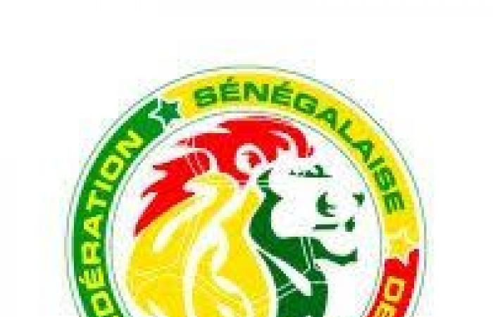 Senegal: the future coach of the Lions of football known before the end of 2024 | APAnews