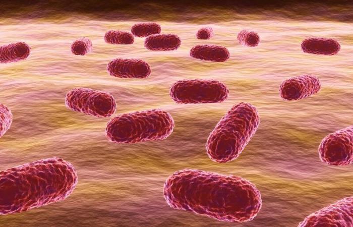 Health care officials spread awareness of antibiotic resistance