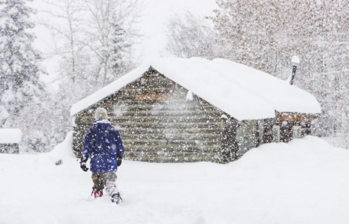 Winter Weather Warnings for 9 States as Nearly 3 Feet of Snow To Hit