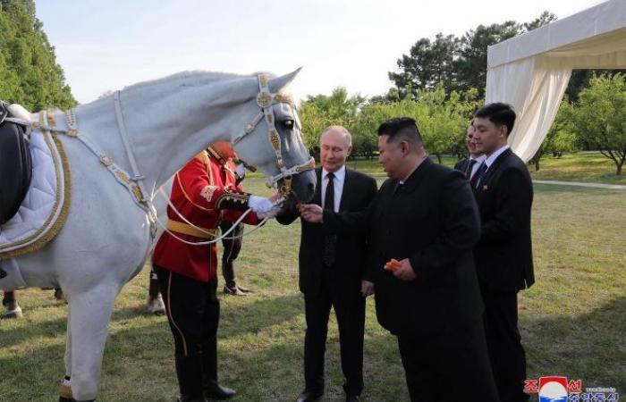 Ducks, bears, parrots and… a lion: Vladimir Putin’s strange gift to Kim Jong-un