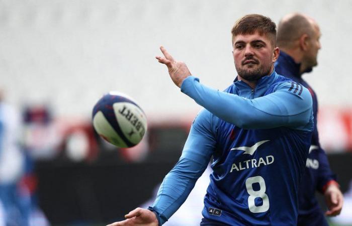 France – Argentina: “There is no controversy. None” Fabien Galthié explains why Greg Alldritt will be absent for the last match of the Blues