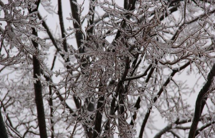 Yellow alert in Moselle for the first snow-ice episode of 2024