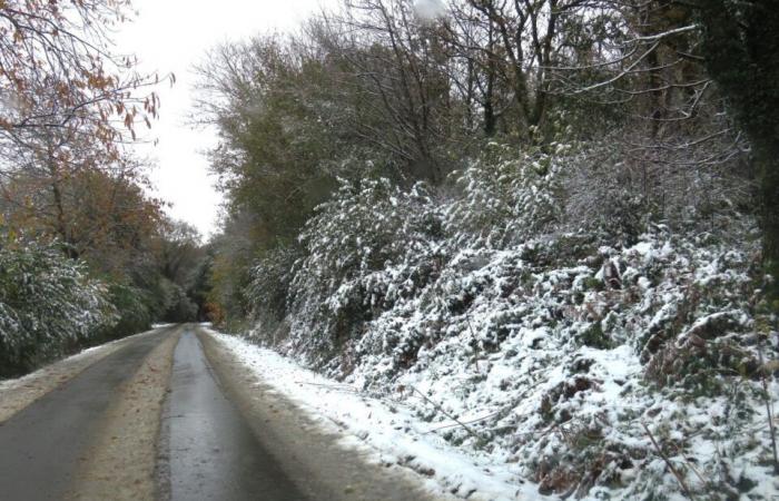 IN PICTURES. In Côtes-d'Armor, several centimeters of snow covered the countryside