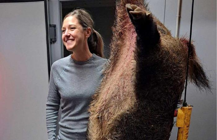 A young huntress kills a 138 kg wild boar in the Gers