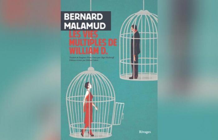 The Many Lives of William D. by Bernard Malamud: The Evening Rise