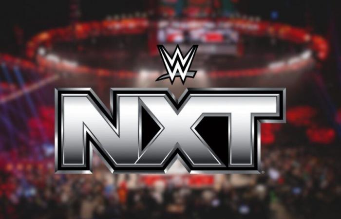 Top WWE Star Open To NXT Return: “I’d Make Myself Available”