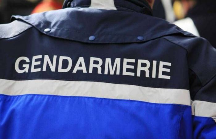 Murder of a commercial agent in Chavelot: The alleged perpetrator placed in pre-trial detention