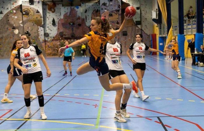 Amateur handball (National 3 women). The women of Saint-Girons HBC have their backs to the wall