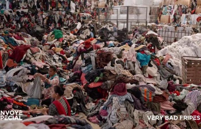 VIDEO. How our used clothes end up in our thrift stores after being sorted… in India