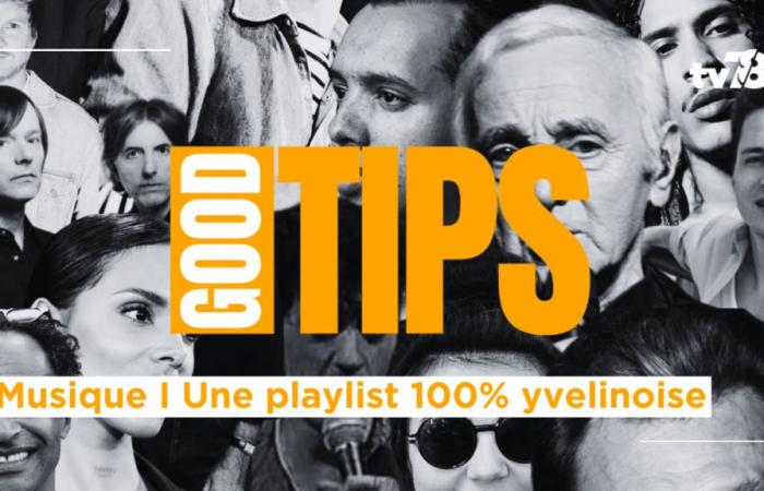 The playlist of Yvelines I Aznavour, Hoshi, Phoenix, La Fouine and the others