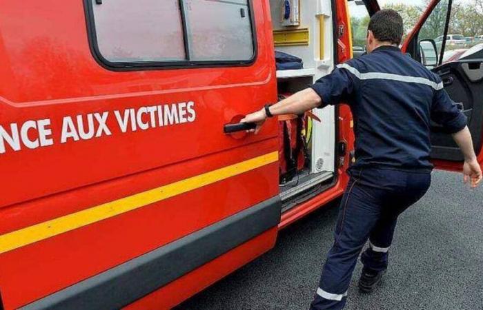 Storm Caetano. A motorist seriously injured by a falling tree north of Nantes