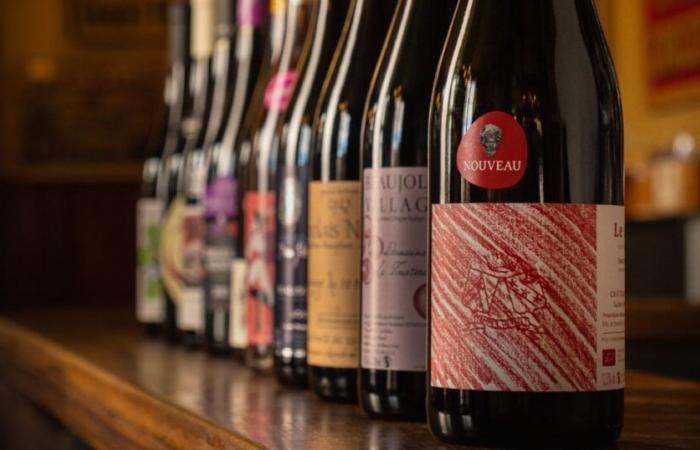 Beaujolais Nouveau: what does the 2024 vintage taste like? 20 vintages to discover as a priority