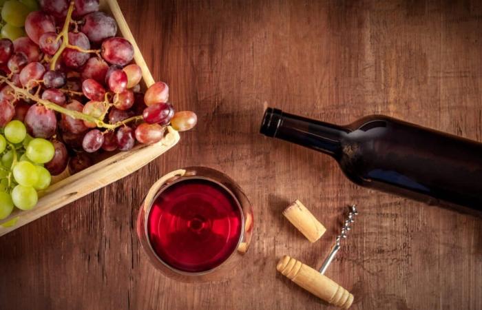 discover the best food and wine pairings and the best vintages of the year – Masculin.com