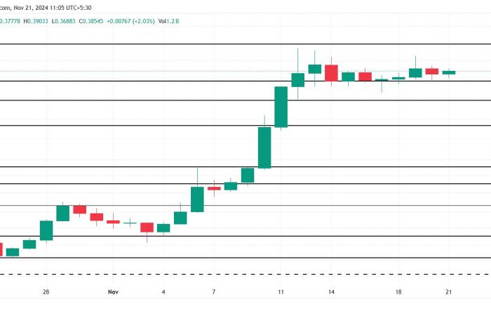 The price of Dogecoin has not finished climbing