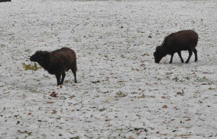 The Pays de Vitré under the snow this Thursday: time to be vigilant