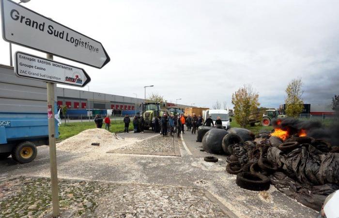 Anger of farmers: “We want to put pressure until the end”, say Young Farmers from Tarn-et-Garonne who blocked a logistics base