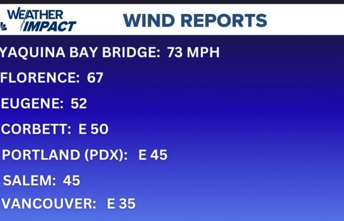 Bomb cyclone: How bad did wind speeds get in Portland, Oregon?