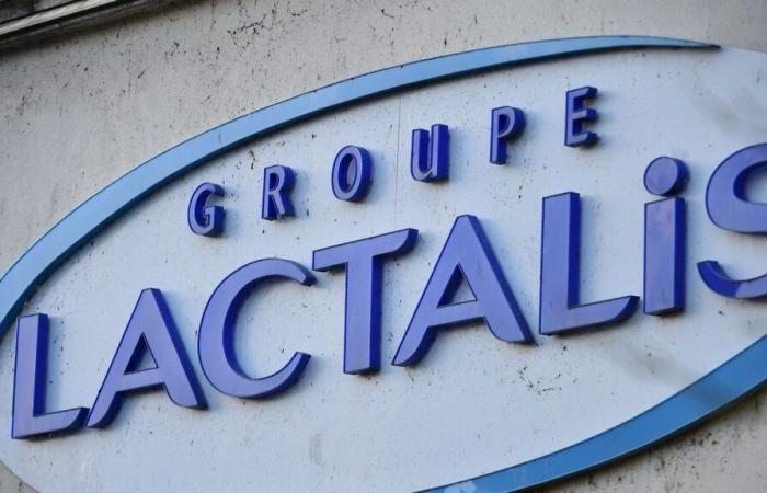 France Nature Environnement launches “a surveillance and legal action campaign” against Lactalis and its discharges into rivers