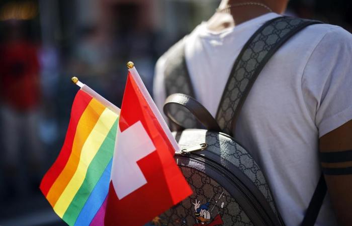 Switzerland: one in 3 LGBT people say they have suffered violence