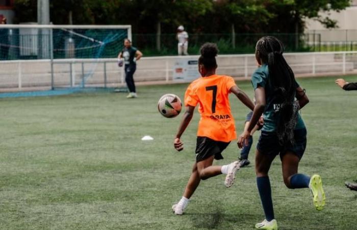 A women’s team from the Toulouse region victim of racist and sexist insults