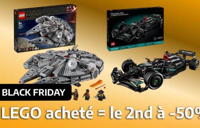 For Black Friday, the second LEGO is 50% off at this merchant