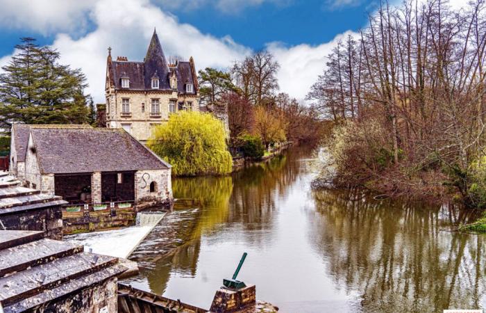 Festival of Lights 2024: a luminous and enchanting parade in Moret-sur-Loing (77)