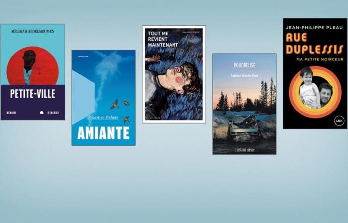 Let’s go for the Literary Prize for middle school students — Revue Les libraires