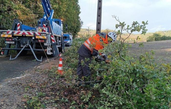 Yellow alert in Dordogne: nearly 14,000 homes deprived of electricity, several trees fell on the roads