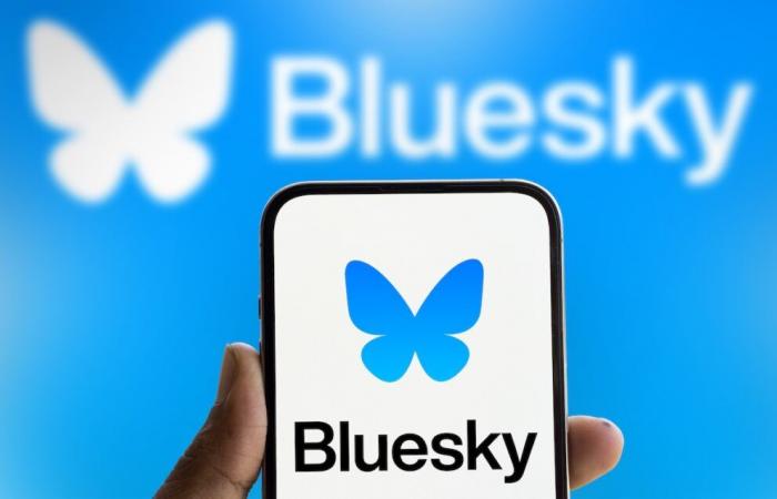 Bluesky, the butterfly that must reconnect OL with its community