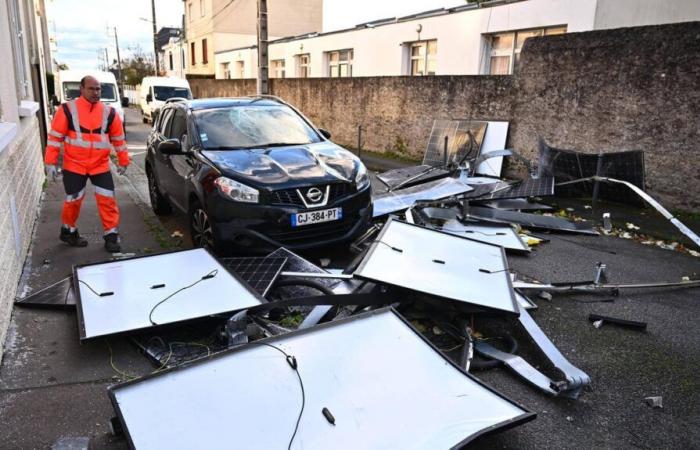 DIRECT. Falling trees, closed bridges… Loire-Atlantique hit hard by storm Caetano