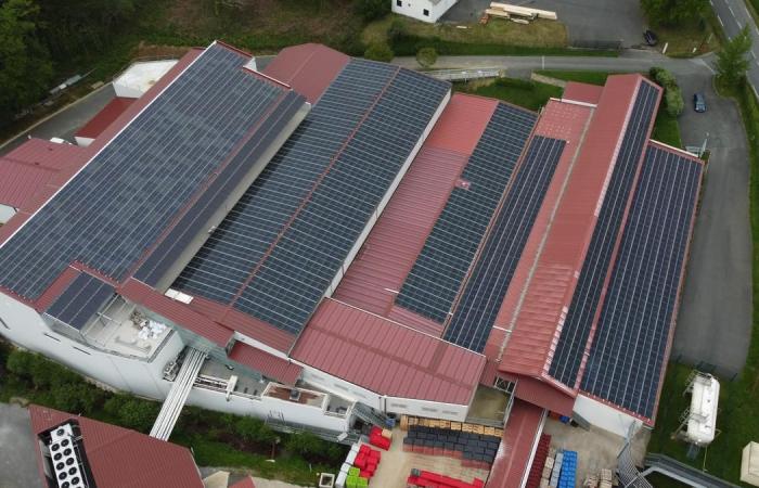 Soltea puts solar energy at the service of decarbonization