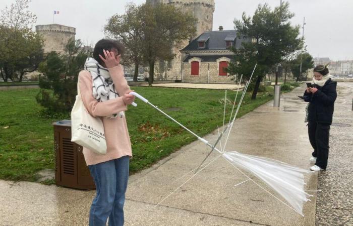 Storm Caetano: 130 km/h in Charente-Maritime, and thousands of homes deprived of electricity in the two Charentes