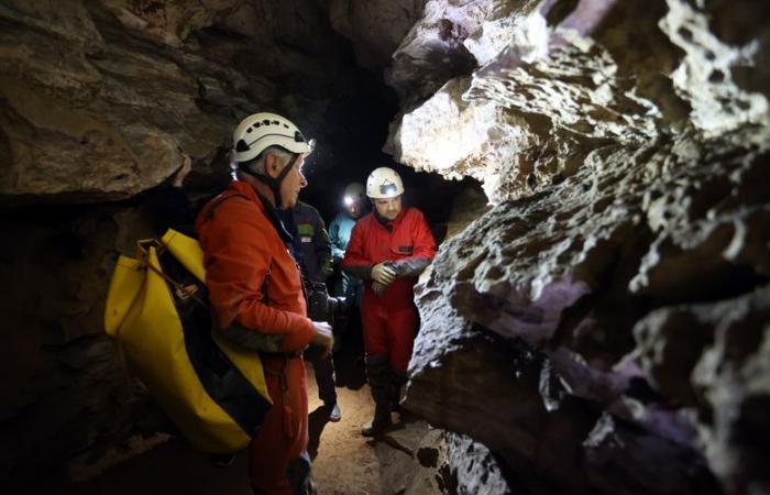 Brutal death of speleologist Michel Soulier: the Bruniquel cave is an orphan