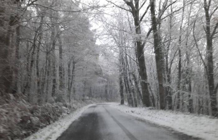 LIVE – Caetano Depression: school buses suspended, difficult traffic conditions due to snow in the Dreux and Châteaudun sectors