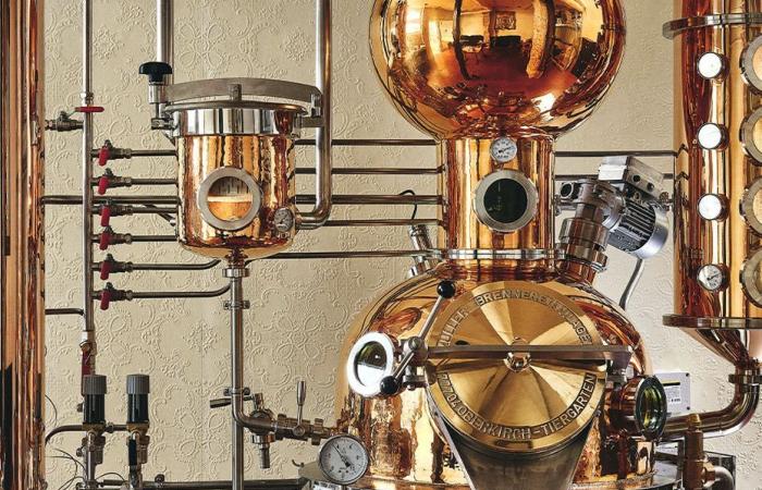 distilleries are making their big return to the capital